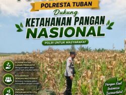 Polri Dukung Astacita, Polsek Rengel Polresta Tuban Turun Cek Tanaman Jagung Warga di Desa Sawahan