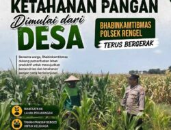 Polri Dukung Astacita, Polsek Rengel Polresta Tuban Turun Cek Tanaman Jagung Warga di Desa Sawahan