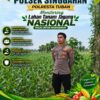 Anggota Polsek Singgahan Polresta Tuban Turun Cek Tanaman jagung Warga di Desa Mulyorejo