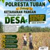 DUKUNG KETAHANAN PANGAN, ANGGOTA POLSEK PARENGAN POLRESTA TUBAN LAKSANAKAN SAMBANG DAN PENDAMPINGAN PANEN JAGUNG DESA SUKOREJO KEC. PARENGAN