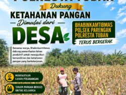 DUKUNG KETAHANAN PANGAN, ANGGOTA POLSEK PARENGAN POLRESTA TUBAN LAKSANAKAN SAMBANG DAN PENDAMPINGAN PANEN JAGUNG DESA SUKOREJO KEC. PARENGAN
