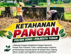 Polsek Soko Polresta Tuban Turun Langsung Cek Tanaman Jagung Warga