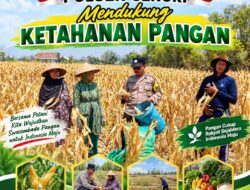 Polisi RW Polsek Senori Polresta Tuban Turun ke Ladang, Bantu Warga Desa Medalem Panen Jagung