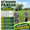 Polri Dukung Astacita, Polsek Merakurak Polres Tuban Turun Cek Tanaman Jagung Warga di Desa Tuwiri Wetan