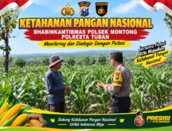 Polsek Montong Polresta Tuban Turun Cek Tanaman jagung Warga di Desa Pucangan