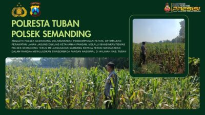 Polri Dukung Astacita, Polsek Semanding Polresta Tuban Turun Cek Tanaman jagung milik Warga di Desa Ngino