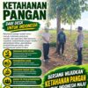 Anggota Polsek Singgahan Polresta Tuban Turun Cek Tanaman jagung Warga di Desa Tingkis