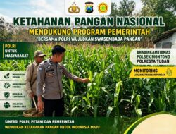 Polsek Montong Polresta Tuban Turun Cek Tanaman jagung Warga di Desa Bringin