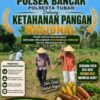 Tingkatkan Ketahanan Pangan Nasional, Anggota Polsek Bancar Tanam Jagung Bersama Warga Desa Ngujuran