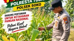 Polsek Soko Polresta Tuban Turun Langsung Cek Tanaman Jagung Warga