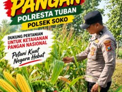 Polsek Soko Polresta Tuban Turun Langsung Cek Tanaman Jagung Warga