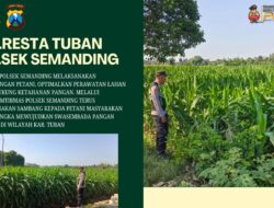 Polri Dukung Astacita, Polsek Semanding Polresta Tuban Turun Cek Tanaman jagung milik Warga di Desa Sambongrejo