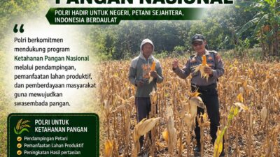 DUKUNG KETAHANAN PANGAN, ANGGOTA POLSEK PARENGAN POLRESTA TUBAN LAKSANAKAN SAMBANG DAN PENDAMPINGAN PANEN JAGUNG DI DESA SELOGABUS KEC. PARENGAN