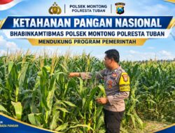 Polsek Montong Polresta Tuban Turun Cek Tanaman jagung Warga di Desa Pucangan