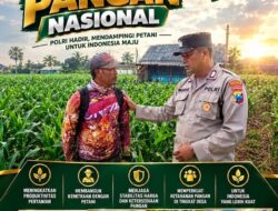 Polsek Plumpang Polresta Tuban Turun Langsung Cek Tanaman Jagung Warga