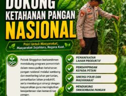 Anggota Polsek Singgahan Polresta Tuban Turun Cek Tanaman jagung Warga di Desa Mulyorejo