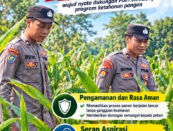 Polri Dukung Astacita, Polsek Semanding Polresta Tuban Turun Cek Tanaman jagung milik Warga di Desa Jadi