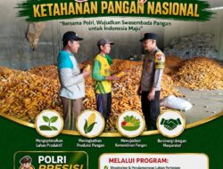 POLSEK KEREK POLRESTA TUBAN MONITORING HASIL PANEN JAGUNG, WUJUDKAN DUKUNGAN KETAHANAN PANGAN NASIONAL