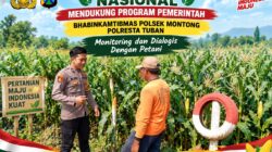 Polsek Montong Polresta Tuban Turun Cek Tanaman jagung Warga di Desa Ngulahan