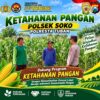 Polsek Soko Polresta Tuban Turun Langsung Cek Tanaman Jagung Warga
