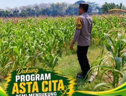 POLSEK KEREK POLRESTA TUBAN DUKUNG PROGRAM ASTA CITA MELALUI PENDAMPINGAN PETANI JAGUNG