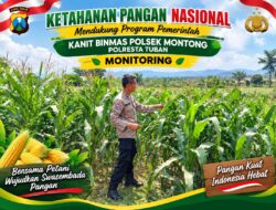 Polsek Montong Polresta Tuban Turun Cek Tanaman jagung Warga di Desa Pucangan