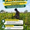 Mendukung Program Ketahanan Pangan, Bhabinkamtibmas Monitoring Pertumbuhan Jagung