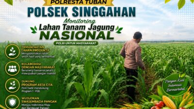 Anggota Polsek Singgahan Polresta Tuban Turun Cek Tanaman jagung Warga di Desa Lajo lor