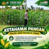 Polsek Soko Polresta Tuban Turun Langsung Cek Tanaman Jagung Warga