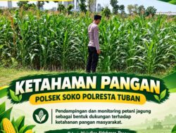 Polsek Soko Polresta Tuban Turun Langsung Cek Tanaman Jagung Warga