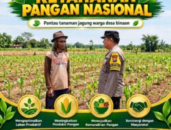 “POLSEK KEREK POLRESTA TUBAN LAKUKAN PEMANTAUAN TANAMAN JAGUNG WARGA BINAAN”