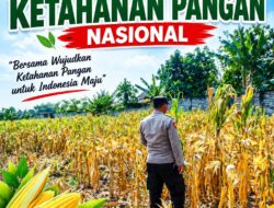 Polri Dukung Astacita, Polsek Semanding Polresta Tuban Turun Cek Tanaman jagung milik Warga di Desa Bektiharjo