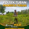 Polsek Tuban Pantau Lahan Pertanian, Dukung Ketahanan dan Swasembada Pangan Nasional