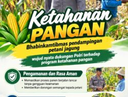 Mendukung Program Ketahanan Pangan, Bhabinkamtibmas Monitoring Pertumbuhan Jagung