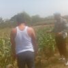 Dukung Asta Cita Presiden, Polsek Kenduruan Polresta Tuban Perkuat Ketahanan Pangan Melalui Pendampingan Petani Jagung