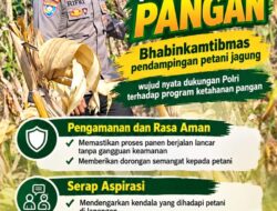 Mendukung Program Ketahanan Pangan, Bhabinkamtibmas Monitoring Pertumbuhan Jagung