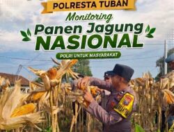 Dukung Ketahanan Pangan Nasional, Bripda Dodi Eko Lakukan Pendampingan Panen Jagung Warga di Desa Sukoharjo