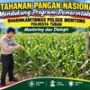 Polsek Montong Polresta Tuban Turun Cek Tanaman jagung Warga di Desa Pucangan
