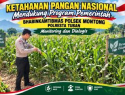 Polsek Montong Polresta Tuban Turun Cek Tanaman jagung Warga di Desa Pucangan