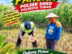 Polri Dukung Astacita, Polsek Merakurak Polres Tuban Turun Cek Tanaman Jagung Warga di Desa Tuwiri Wetan