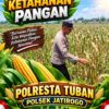 Polri dukung progam Astacita, Polsek Jatirogo Polresta Tuban Turun Cek Tanaman jagung Warga di Desa Paseyan