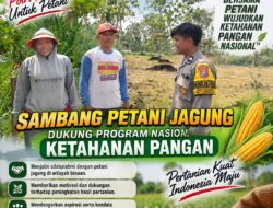 Anggota Polsek Parengan Sambang Petani Jagung, Dukung Program Nasional Ketahanan Pangan