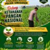 Anggota Polsek Singgahan Polresta Tuban Turun Cek Tanaman jagung Warga di Desa Mulyoagung