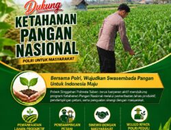 Anggota Polsek Singgahan Polresta Tuban Turun Cek Tanaman jagung Warga di Desa Mulyoagung