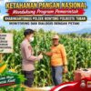 Polsek Montong Polresta Tuban Turun Cek Tanaman jagung Warga di Desa Bringin
