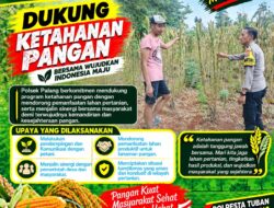 Dukung Astacita, Polsek Palang Polresta Tuban Pantau Langsung Lahan Jagung milik warga Desa Dawung