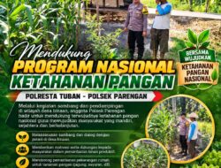 Polsek Parengan Dukung Program Nasional Ketahanan Pangan melalui Sambang dan Pendampingan Petani