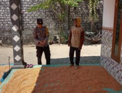 Polri Dukung Astacita, Polsek Grabagan Polresta Tuban Turun Cek Tanaman jagung milik Warga di Desa Grabagan