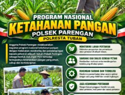 Polsek Parengan Dukung Program Nasional Ketahanan Pangan melalui Monitoring Lahan Pertanian