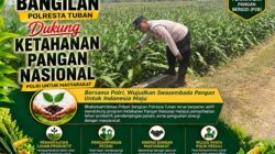 Mendukung Program Ketahanan Pangan, Bhabinkamtibmas Monitoring Pertumbuhan Jagung